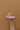 Accessories - GoGirl