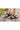 Shoes-Sisters - Naot Kayla Black Matte Leather